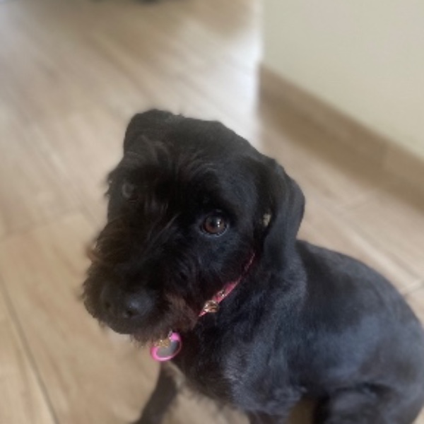 Photo de Tessie