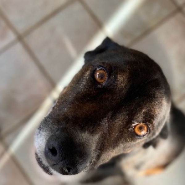 Photo de Taïko