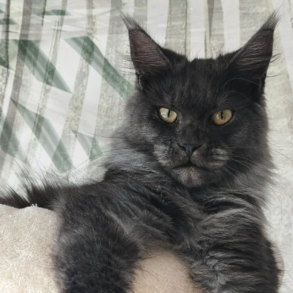 Photo de Zélia