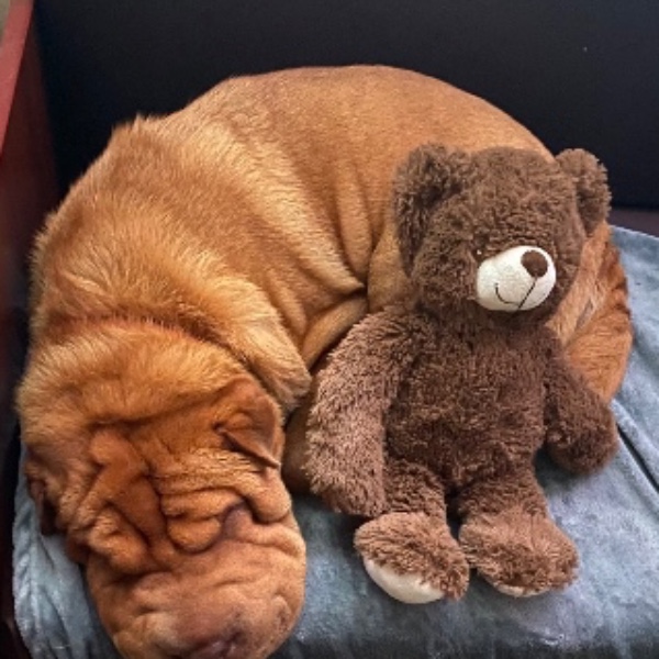 Photo de Ruby