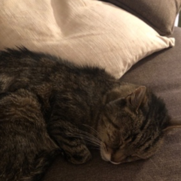 Mimi