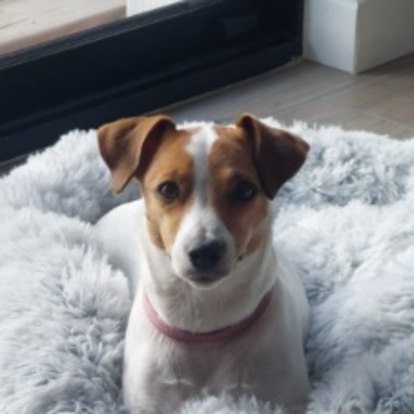 Photo de Sienna