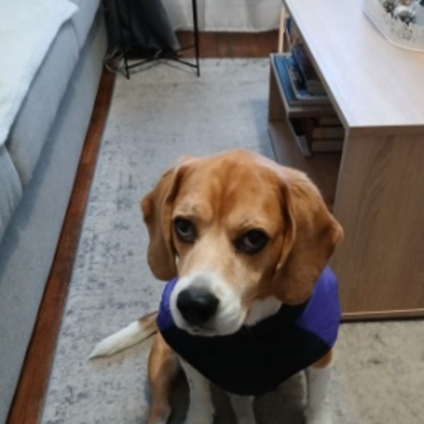 Photo de Nanouk