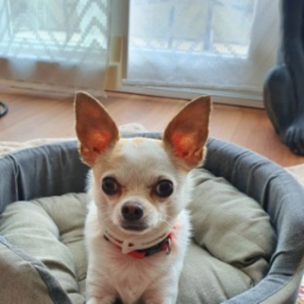 Photo de Perry