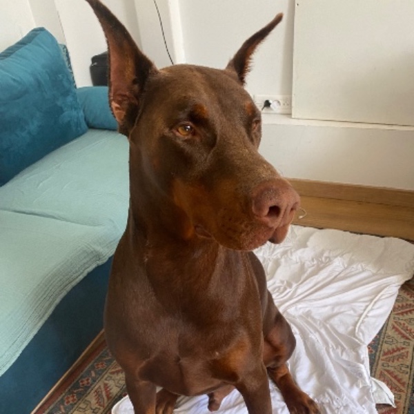 Photo de Ragnar