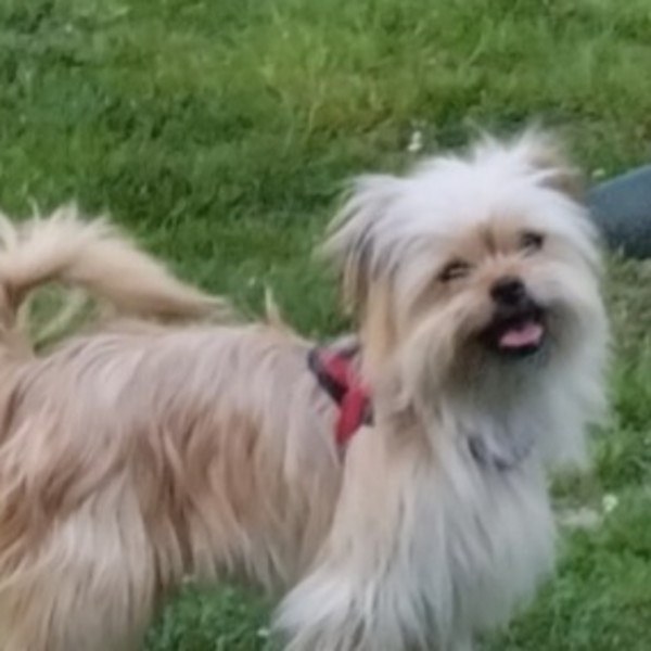 Tina
