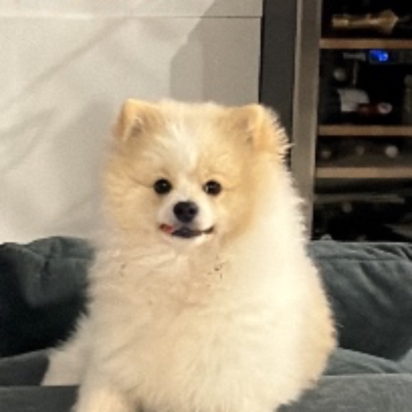 Photo de JUNIOR