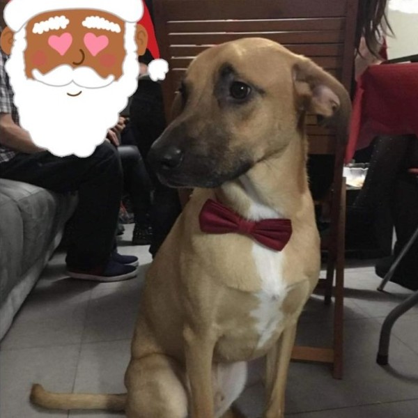 Photo de Pacha