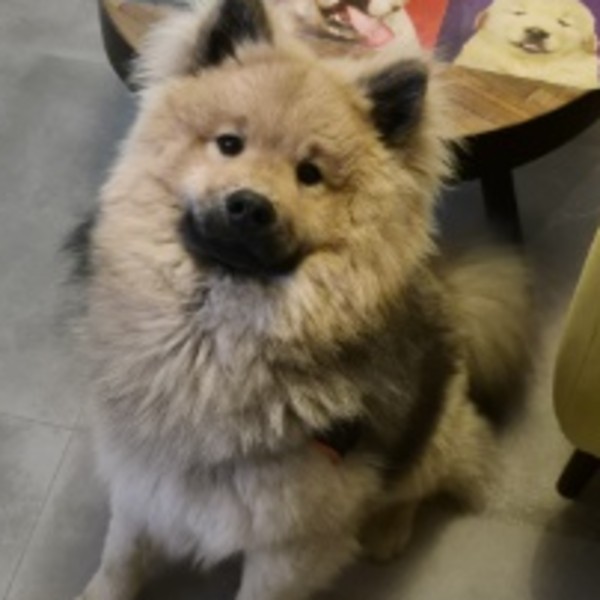 Photo de Nash