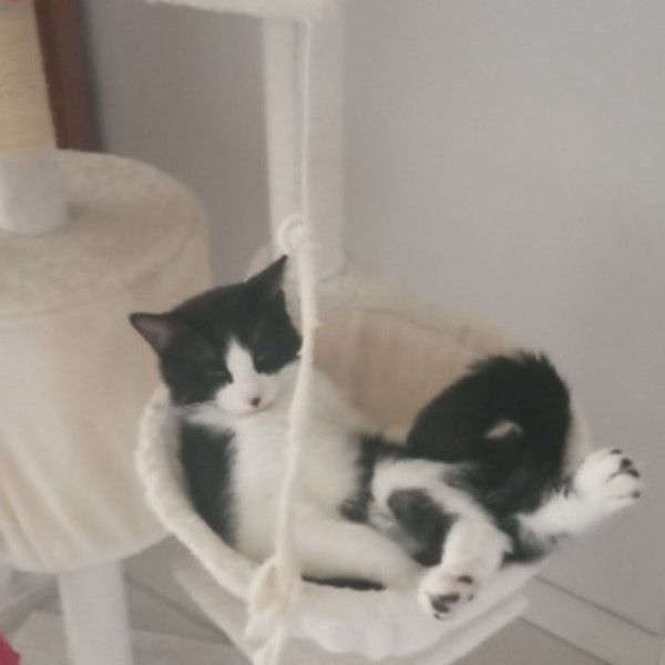 Photo de Claquette
