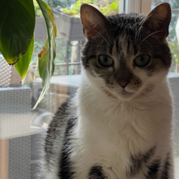 Photo de TITI