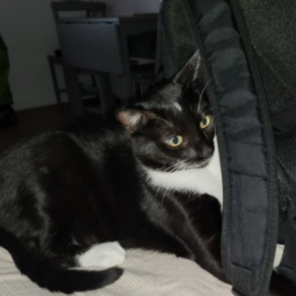 Photo de AKEMI