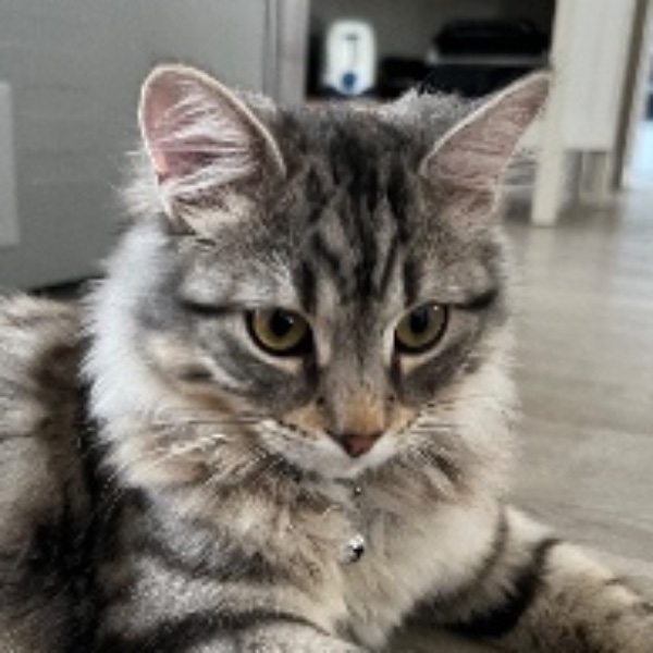 Photo de Archy