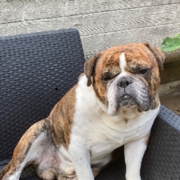 Photo de Sasha