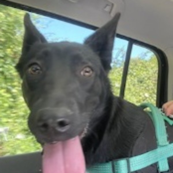 Photo de Athena
