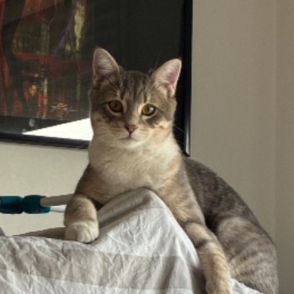 Photo de Willow