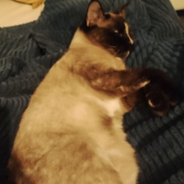 Photo de Tara