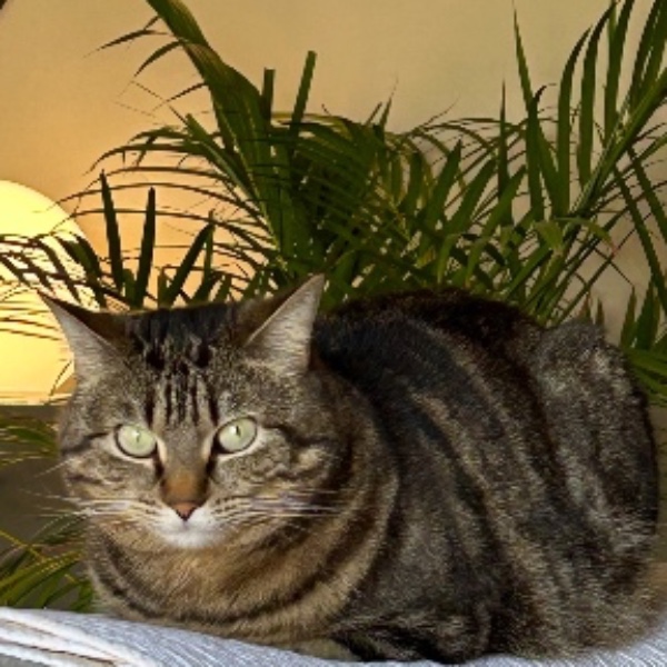 Suzie