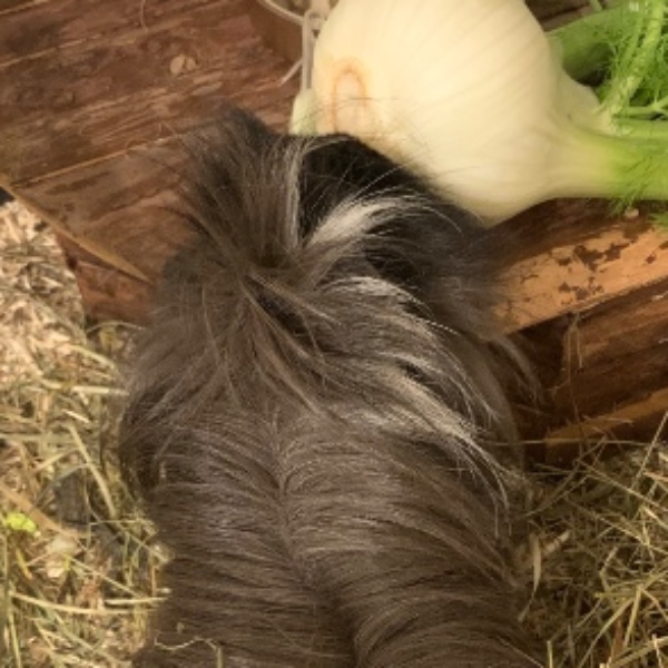 Photo de Valentino