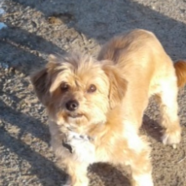 Photo de LILOO