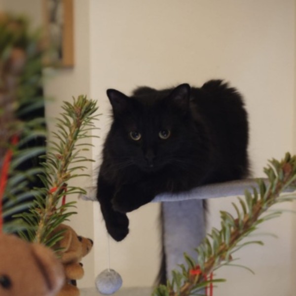Photo de Eros
