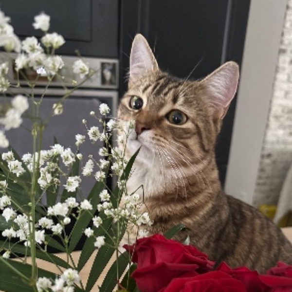 Photo de Arlo