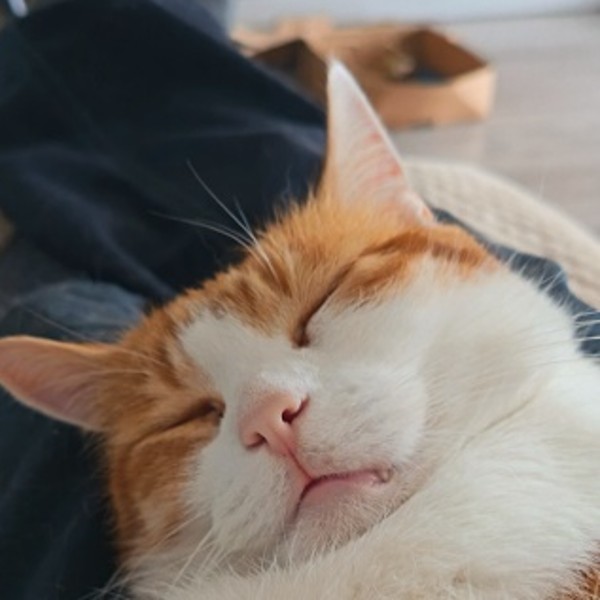 Casimir