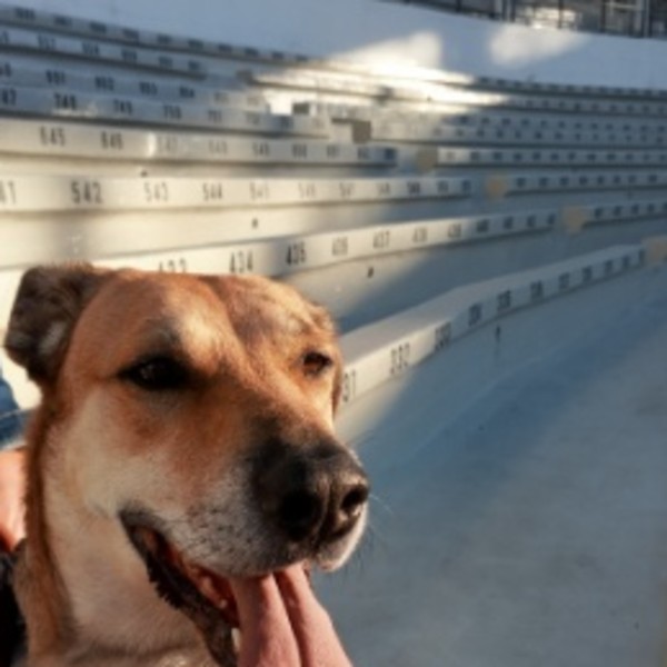 Akira