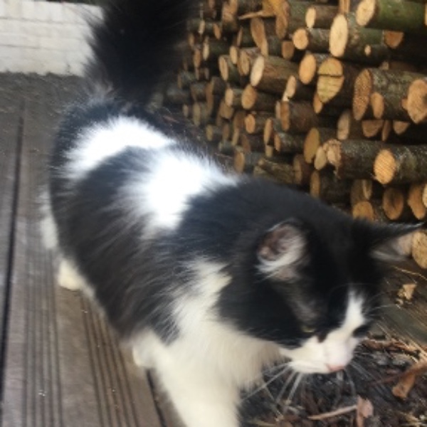 Photo de Maïko