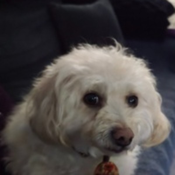 Photo de RITO