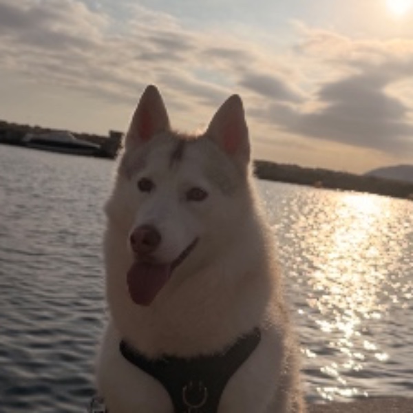 Photo de Salsa