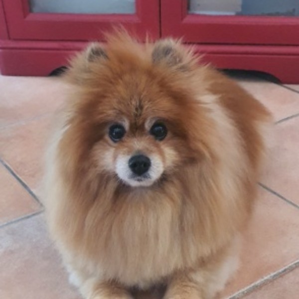 Photo de Hermione