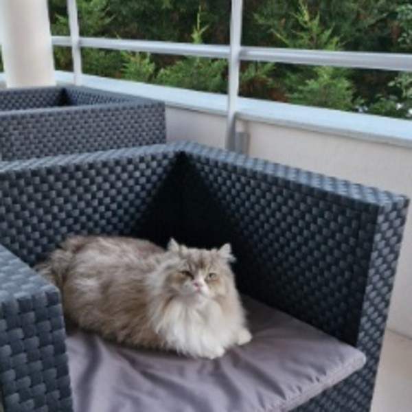 Photo de Titus