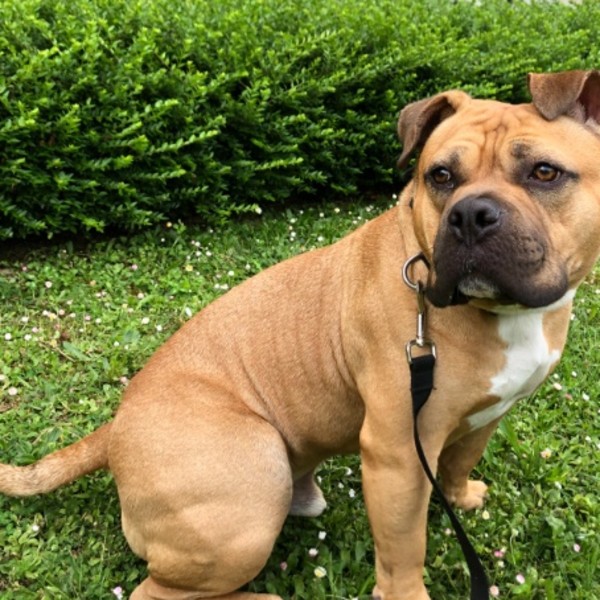 Photo de Oscar