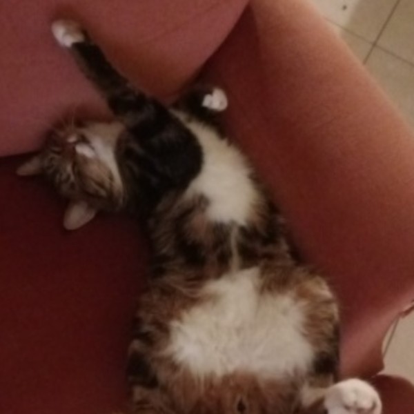 Billy