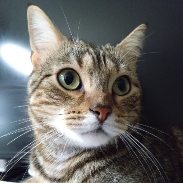 Photo de Doudou
