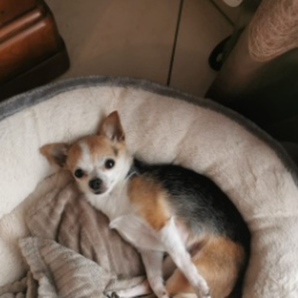 Photo de Roxy