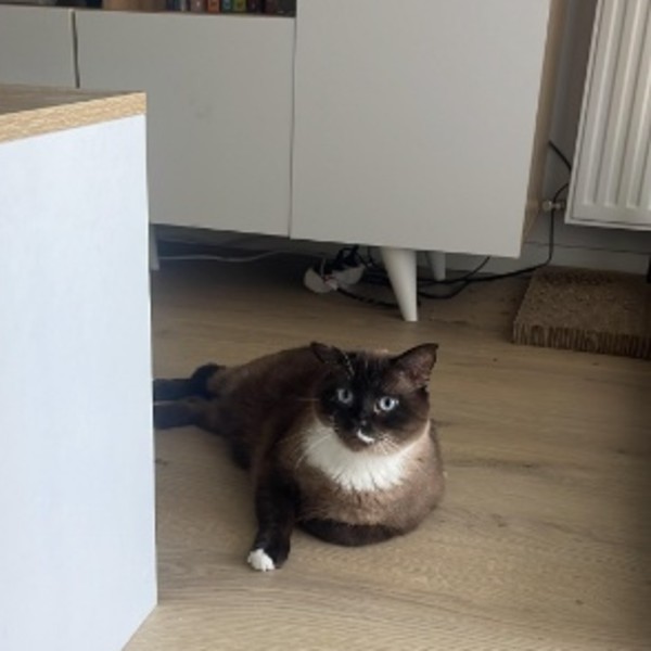Photo de Freddie