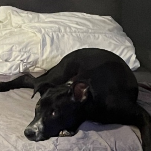 Photo de Alpha