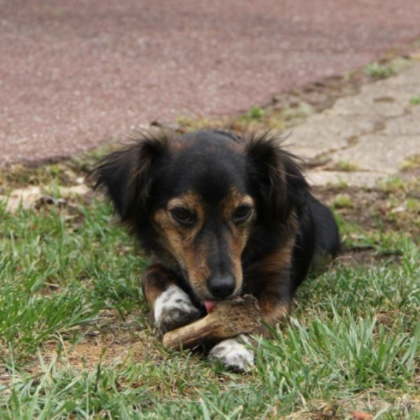 Photo de myrina
