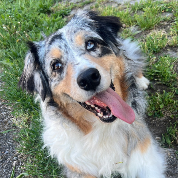 Paska