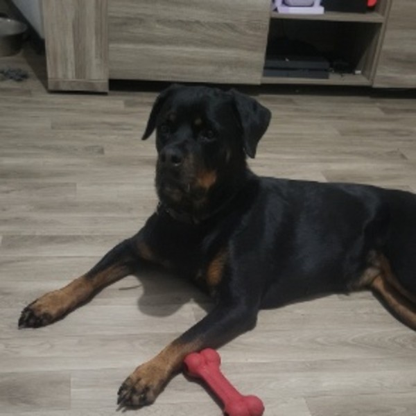 Photo de Raya