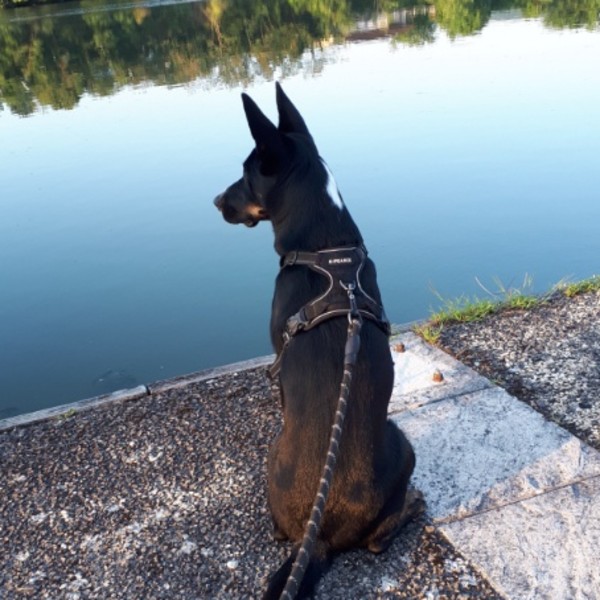 Photo de Ova