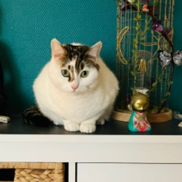 Photo de JENNY
