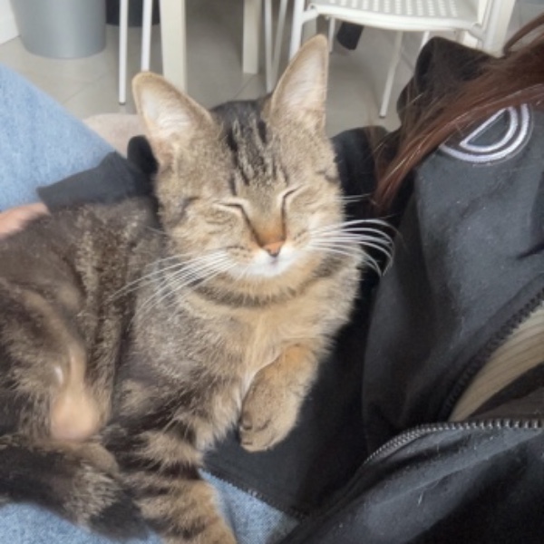 Titi