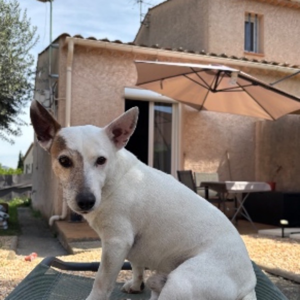 Photo de Gabin