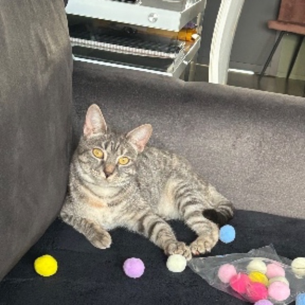 Photo de Lili