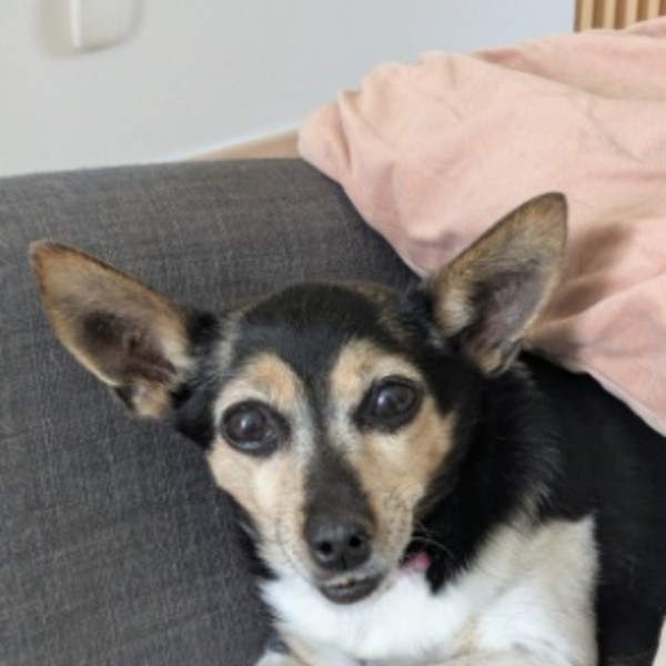 Photo de Winnie