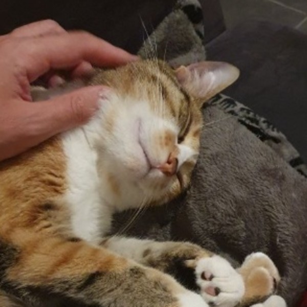 Photo de Puchi (Poutchi)