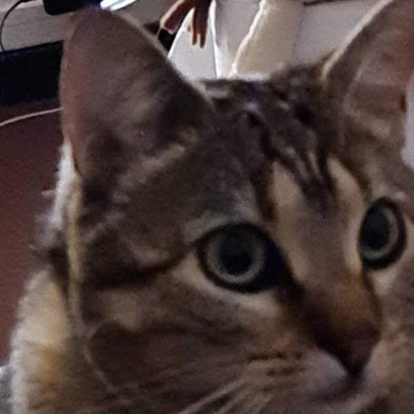 Photo de Lilou